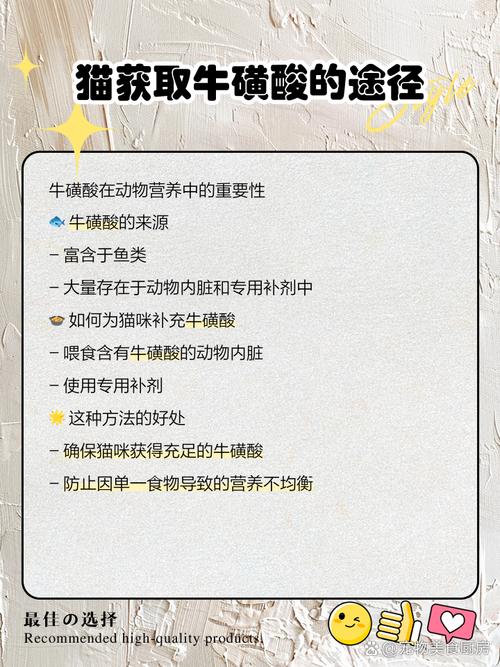 猫咪不吃鱼怎么办