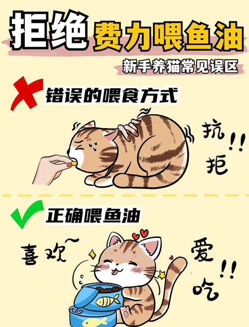 小猫不吃鱼了怎么办?