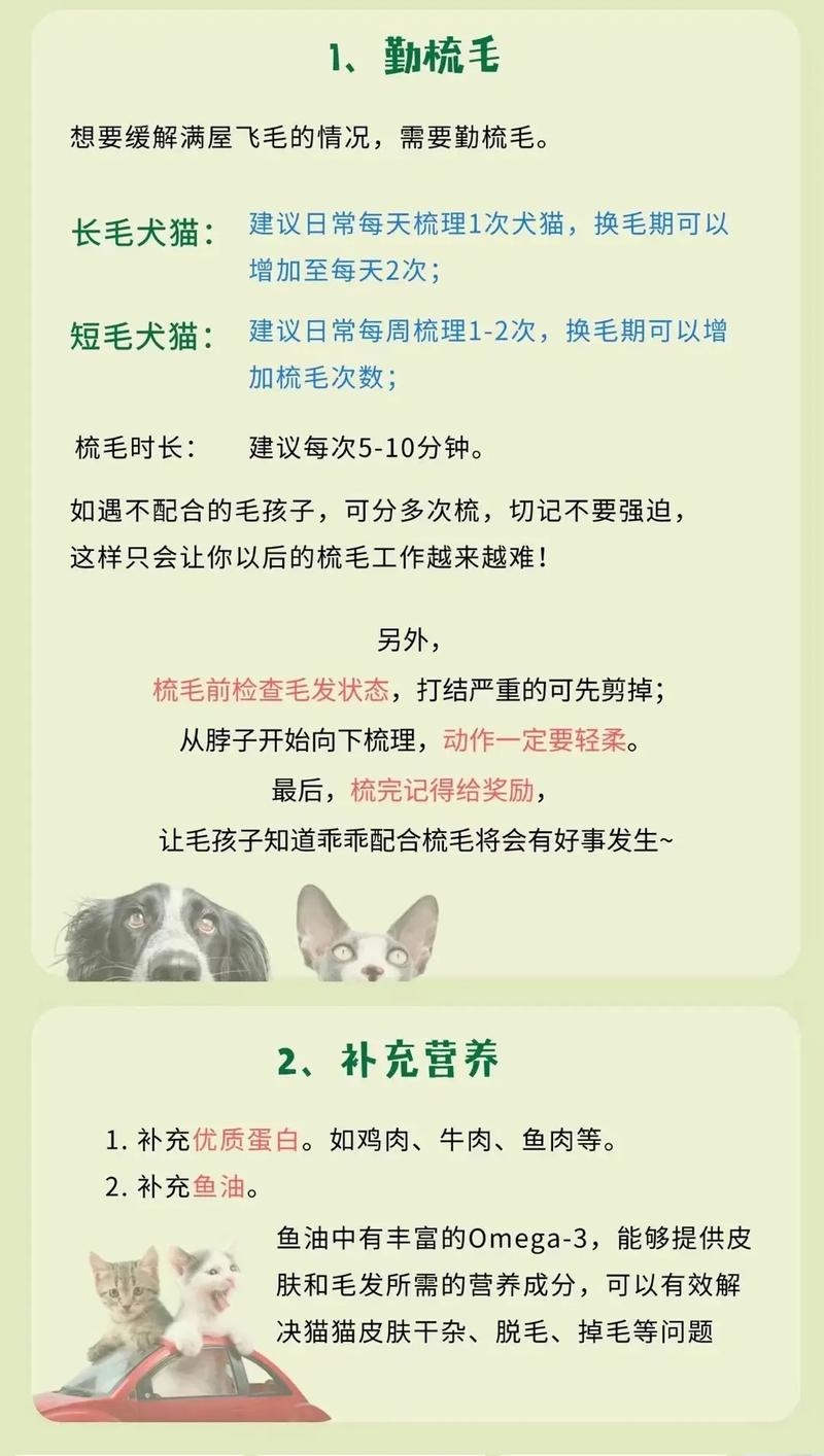 猫掉毛比较好的解决办法