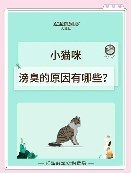为什么我家猫放屁这么臭?!