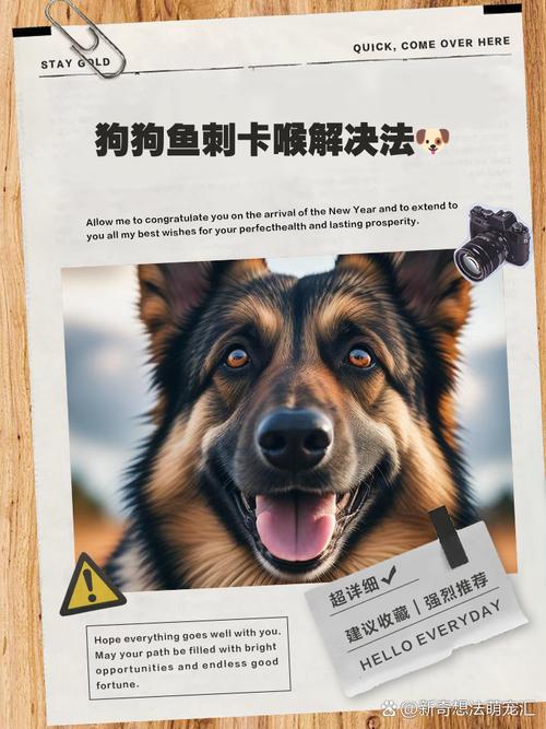 小狗被鱼刺卡住了怎么办