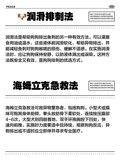 家里狗狗吃鱼刺卡住怎么办?现在狗狗都不能吃东西了