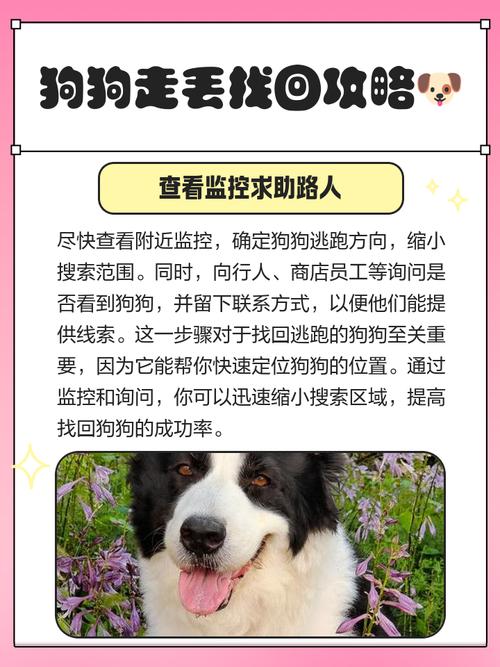 把狗狗丢到二三十公里外能找到回家的路吗?求大神解答!