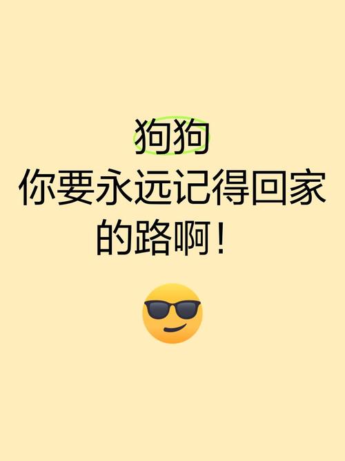 狗狗能够记住回家的路吗?
