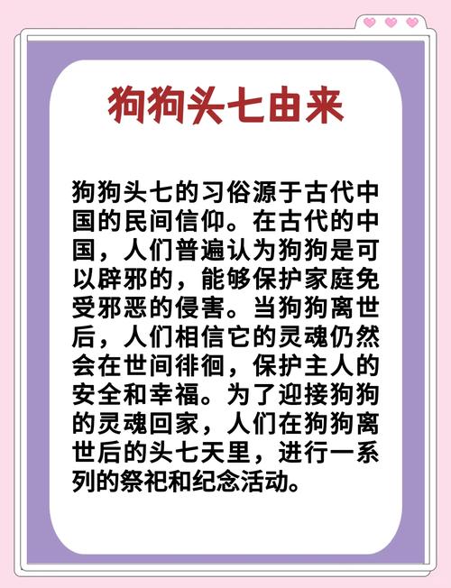 狗狗死后埋的远,头七能认识回家的路吗?