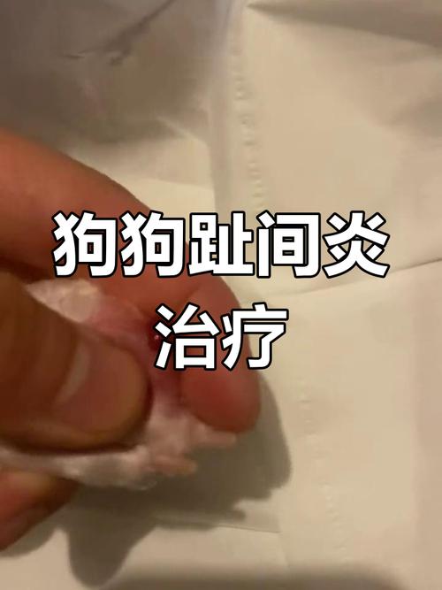 狗狗脚趾炎用什么药最特效