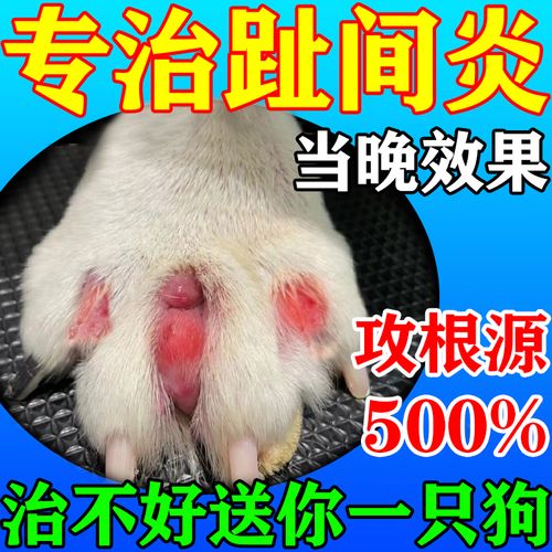 狗狗脚趾炎用什么药