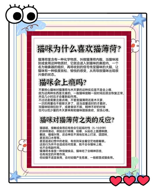 为什么有些猫咪不喜欢猫薄荷?