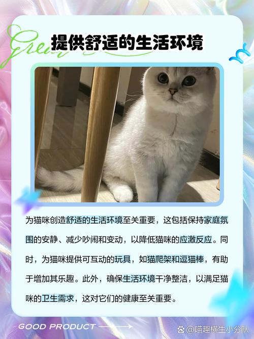 猫抑郁症怎么办