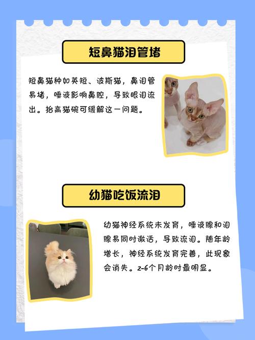 猫咪吃东西时流泪是怎么回事?