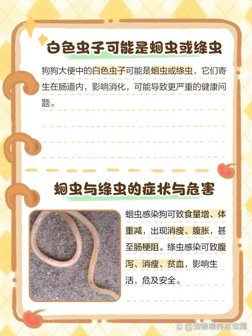 狗狗大便里有虫子是怎么回事