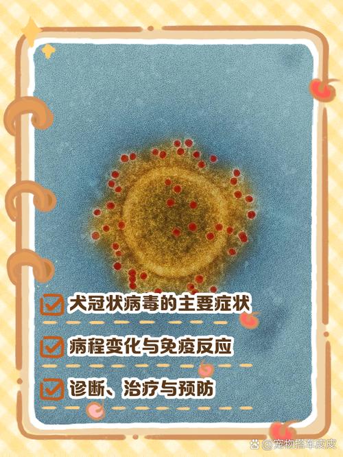 狗狗冠状病毒会自愈吗快好了的迹象