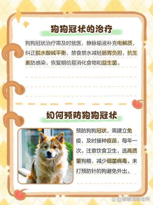 小狗冠状病毒好转迹象