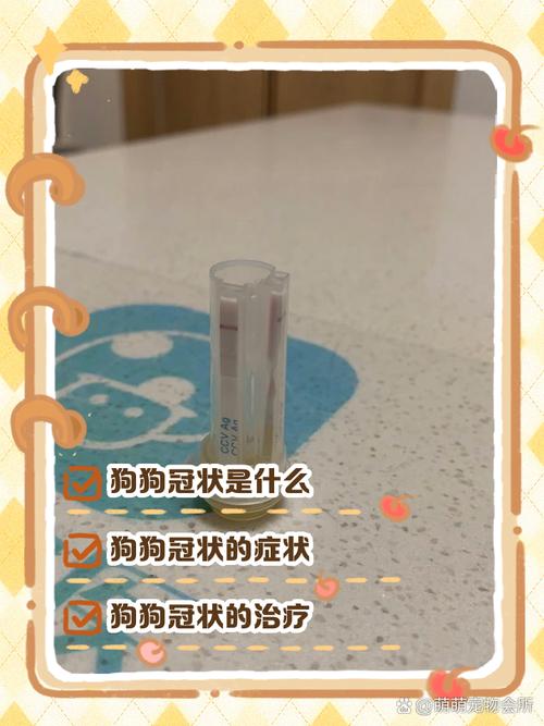 怎么判断狗狗冠状好了