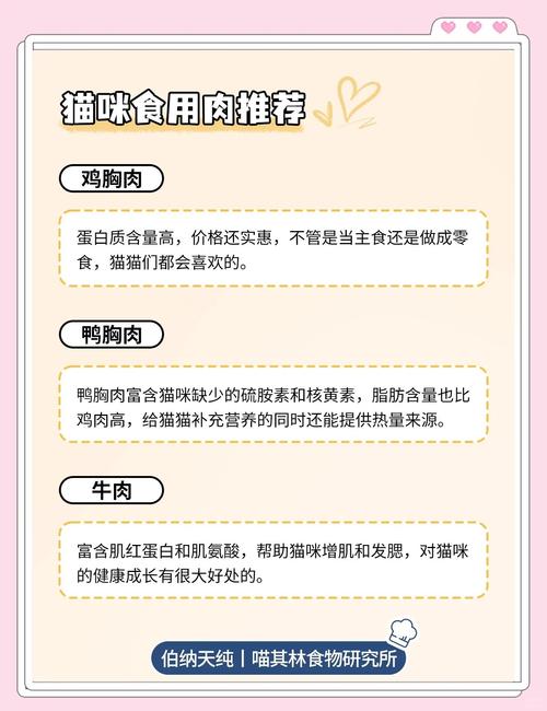 猫太瘦了怎么喂胖