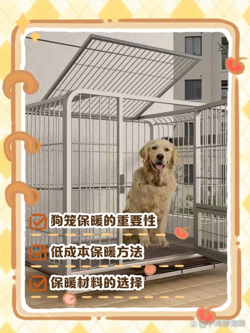 冬天狗狗如何保暖?