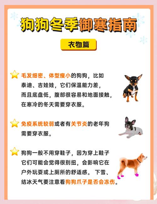 狗狗冬天怎么保暖啊