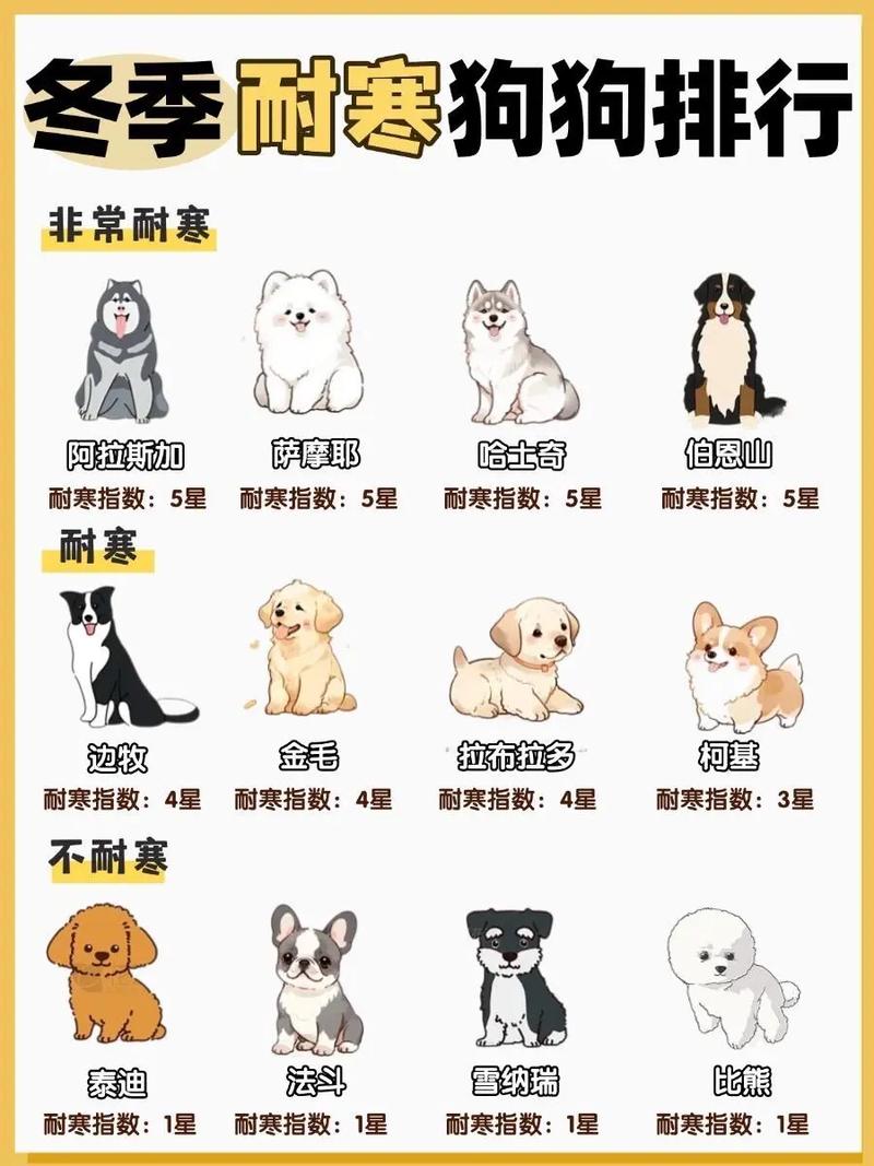 狗狗冬天要如何保暖呀?