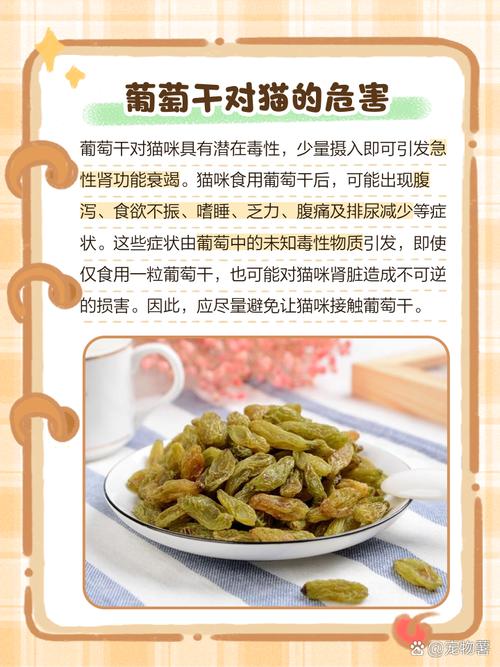 猫咪吃了葡萄怎么办