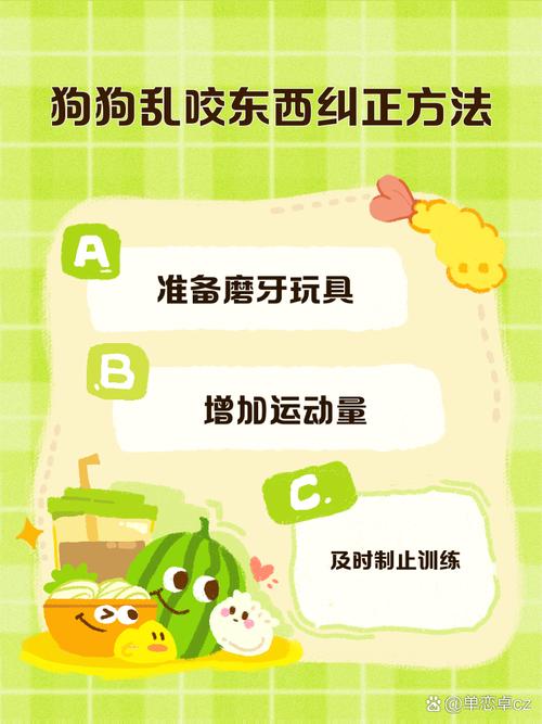 狗狗总是咬东西打都改不了怎么办如何训练