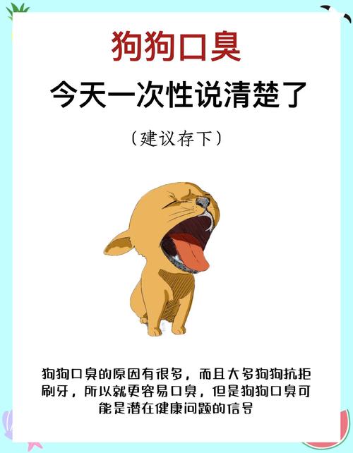 狗狗口臭是怎么回事,一哈气张嘴就很臭?