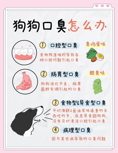 狗狗口臭的原因