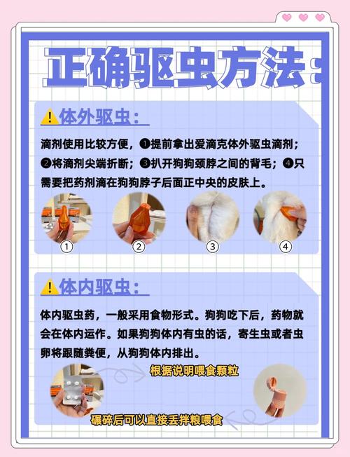 犬安驱虫滴剂用法用量