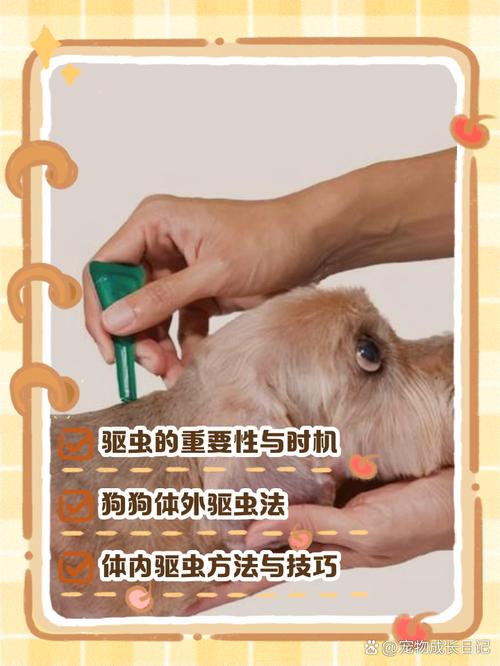 狗狗体外驱虫滴剂使用方法和注意事项