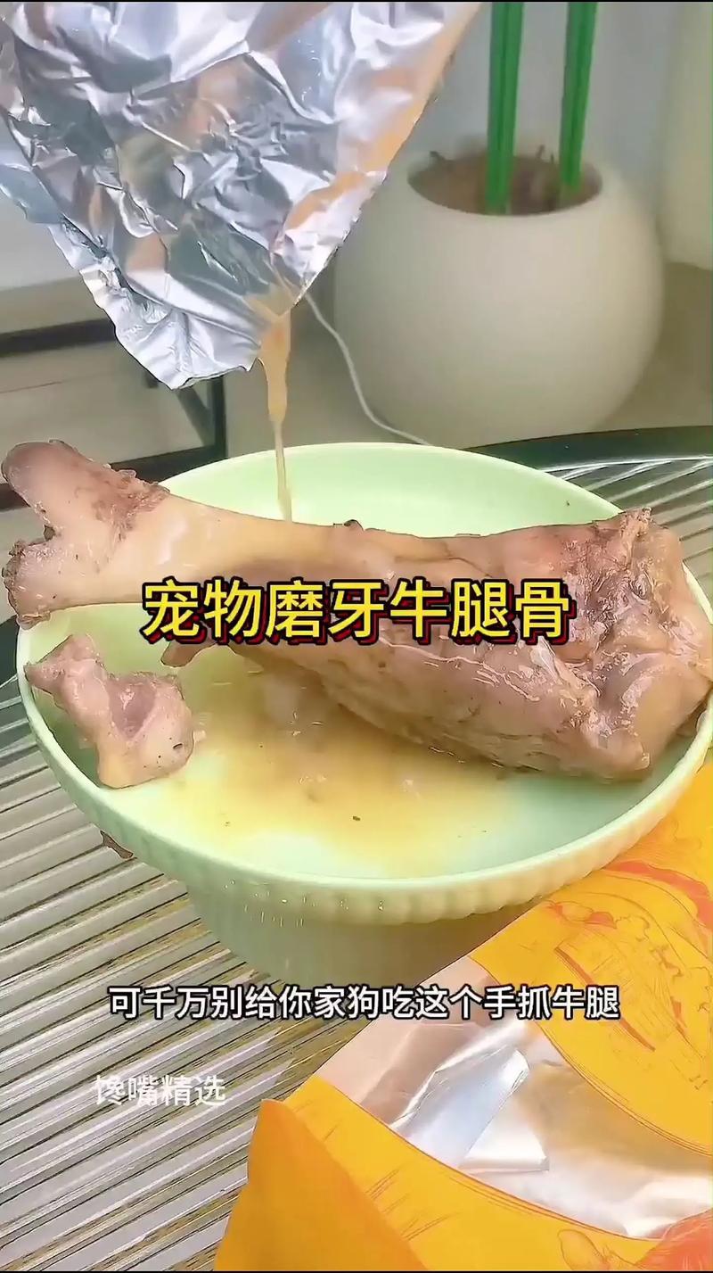 给狗炖骨头怎么做给狗炖骨头都放什么