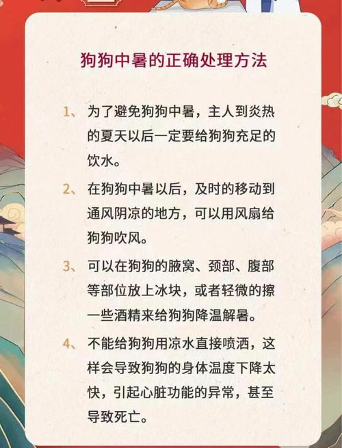 狗狗发烧最有效降温