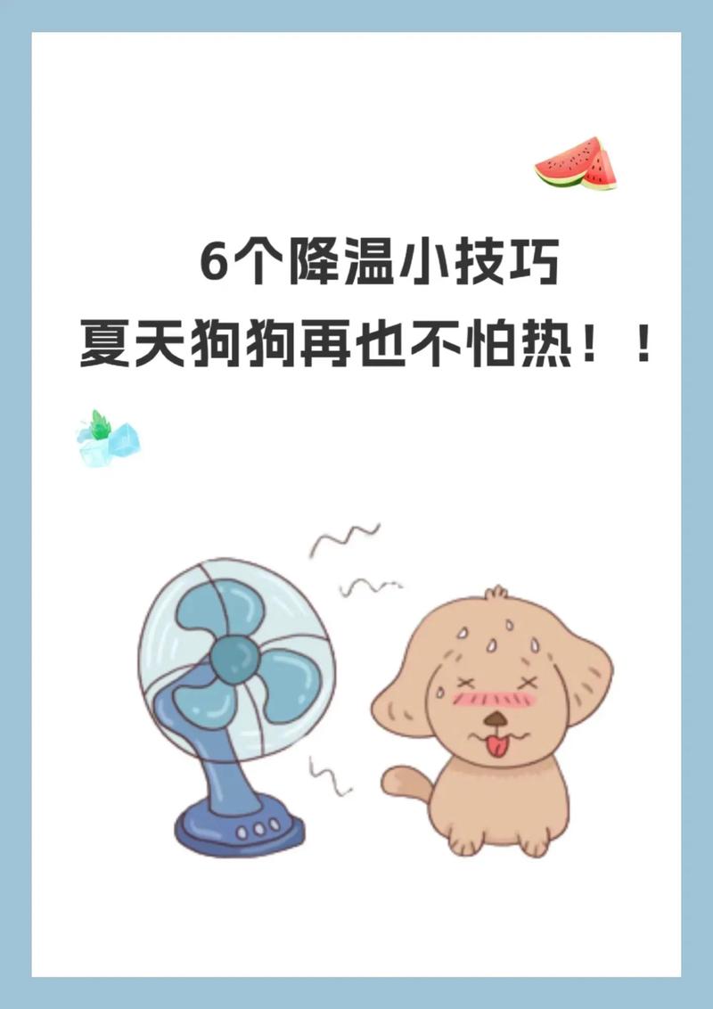 狗狗发烧怎么办