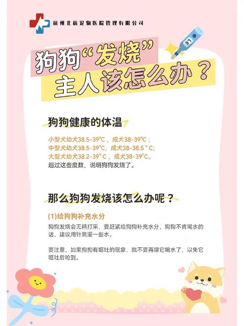 狗狗发烧40度怎么退烧