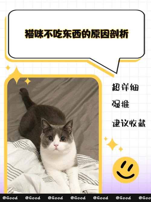 猫吃甜食有什么危害