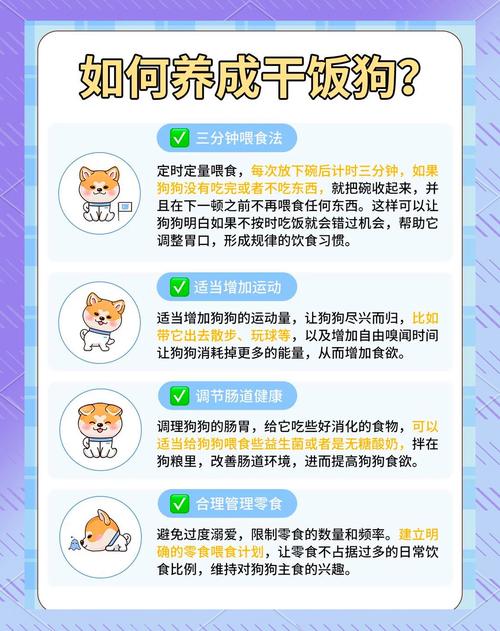 狗狗“挑食”,用这6个方法!