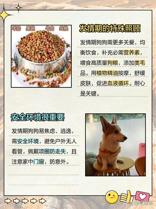 狗狗发春最快解决方法