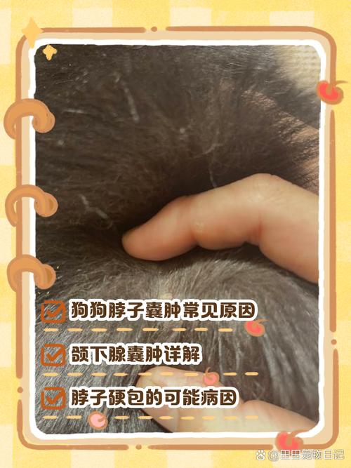 狗狗淋巴结肿大怎么治