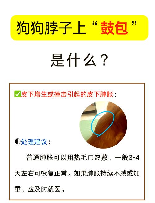 狗淋巴结肿大怎么治疗方法,狗淋巴结肿大用什么药