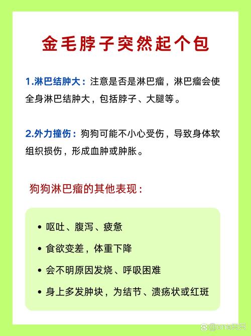 狗狗淋巴肿大会自愈吗?应该怎么做?