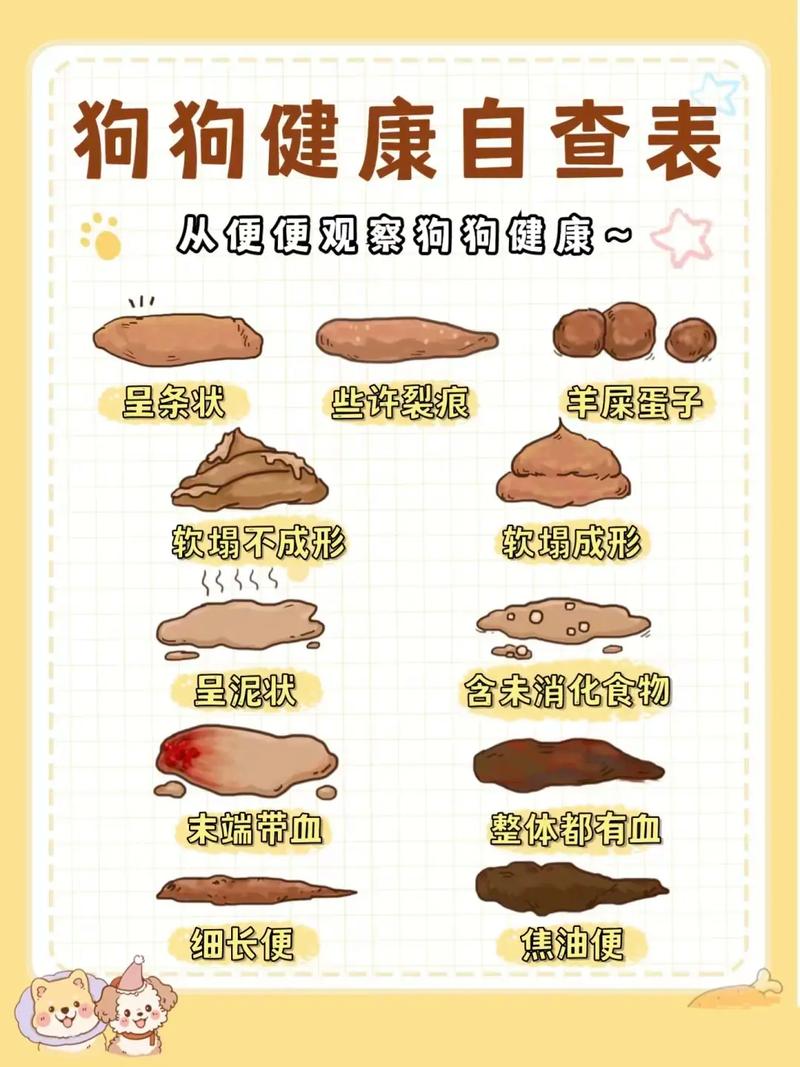 犬瘟热不拉屎怎么办(犬瘟热不拉屎)