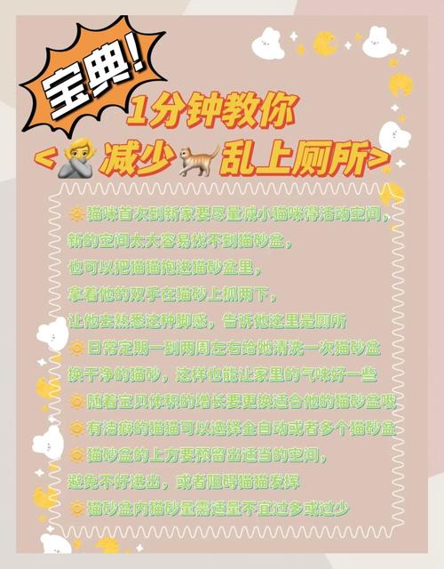 猫乱拉屎怎么解决方法