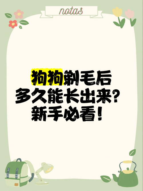 夏天可以给两个月泰迪剃胎毛吗?