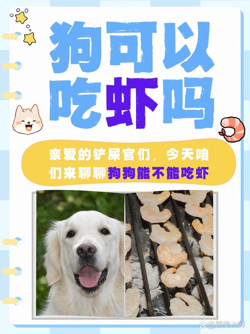 狗能吃虾壳,虾头吗?