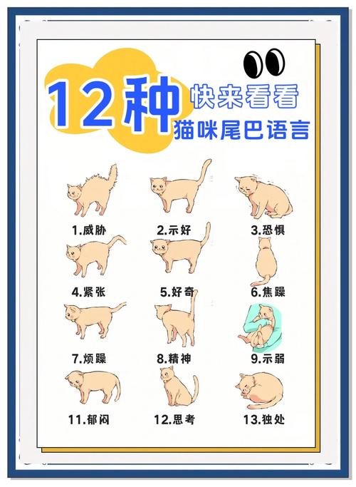 猫的尾巴怎么形容