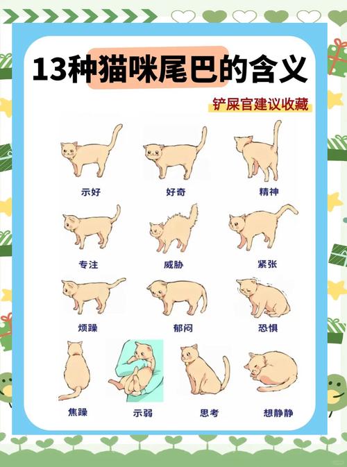 猫的尾巴像什么?