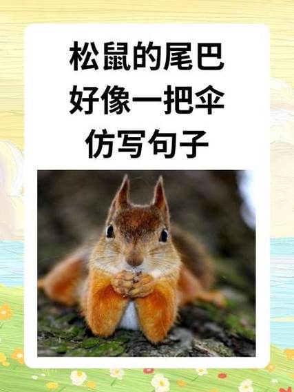 一年级仿写动物尾巴句子