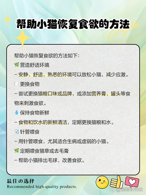 猫咪不肯吃东西怎么办