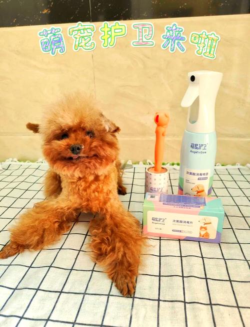 家里狗狗得了细小,用什么消毒好?