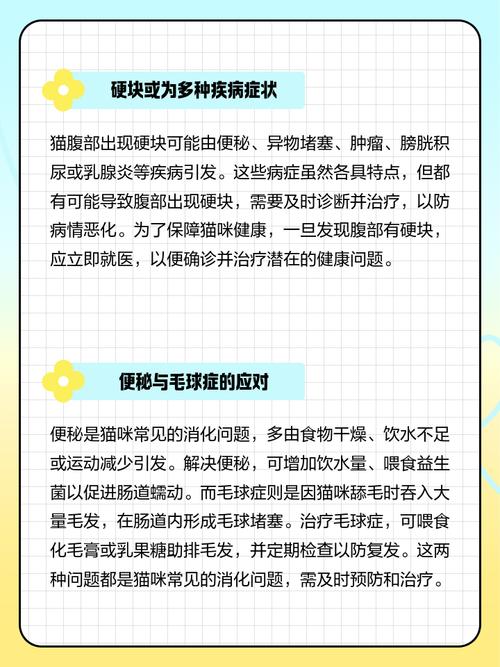猫咪腹部摸着有硬块但精神很好是怎么回事?