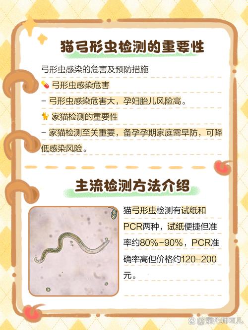 猫咪检查弓形虫需要多少钱