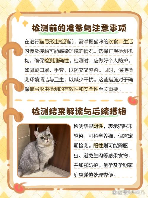 猫猫弓形虫多长时间检查一次